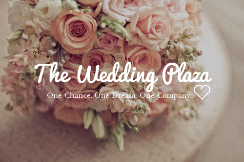 Wedding Service «The Wedding Plaza», reviews and photos, 216 Jericho Turnpike, Floral Park, NY 11001, USA