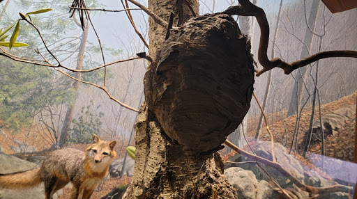 History Museum «The State Museum of Pennsylvania», reviews and photos, 300 North St, Harrisburg, PA 17120, USA