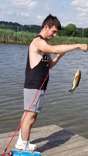 Winery «Gouveia Vineyards», reviews and photos, 1339 Whirlwind Hill Rd, Wallingford, CT 06492, USA