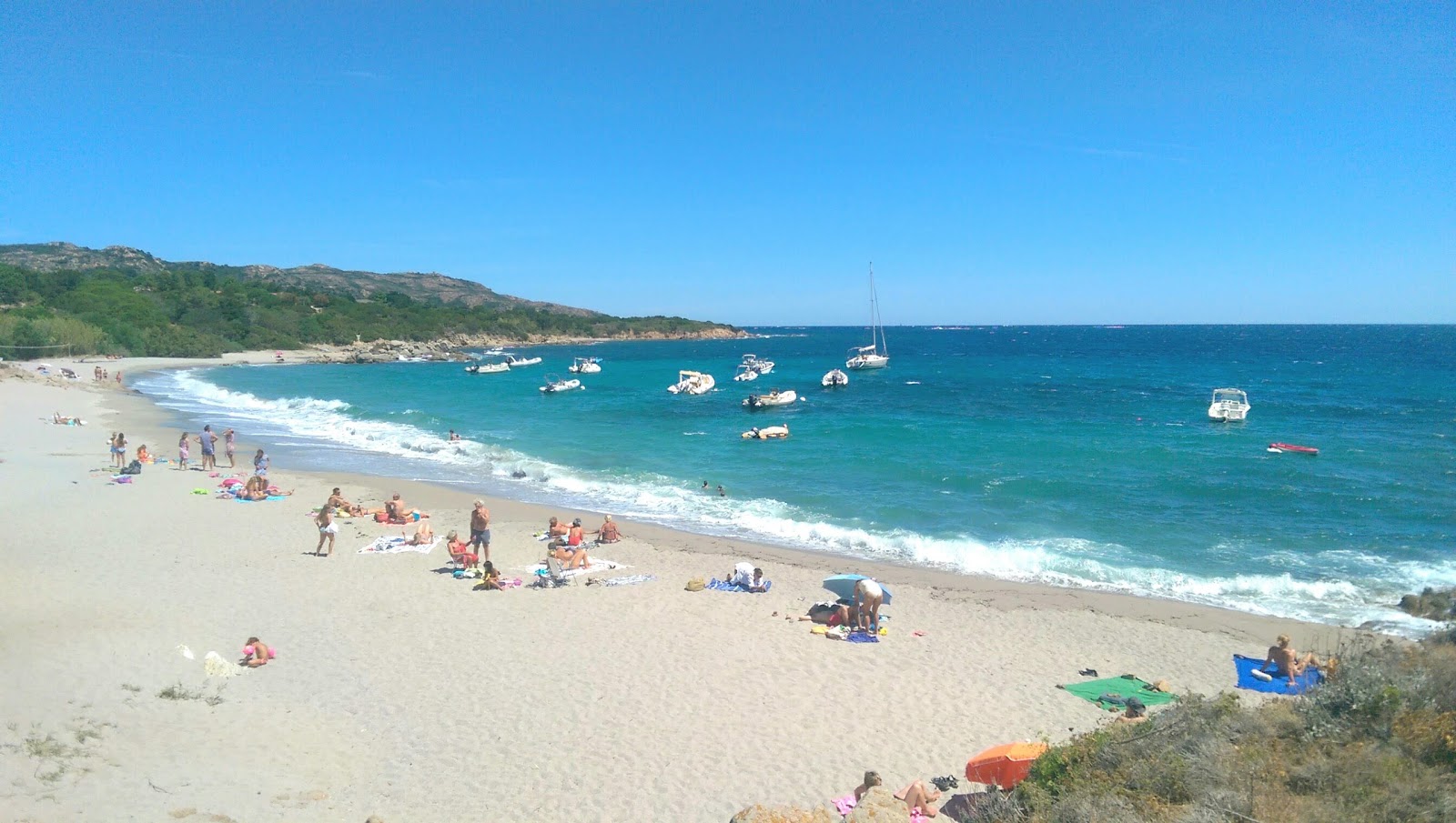 Plage de Cala longa III'in fotoğrafı vahşi alan