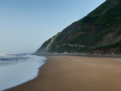 Foto av Playa Farallon vildmarksområde