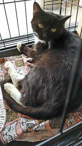 Pet Supply Store «Pet Supplies Plus», reviews and photos, 9 Waukegan Rd, Deerfield, IL 60015, USA