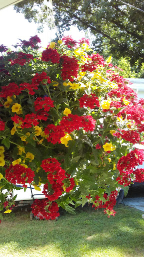 Garden Center «Madison Gardens», reviews and photos, 2705 S Seminole Trail, Madison, VA 22727, USA