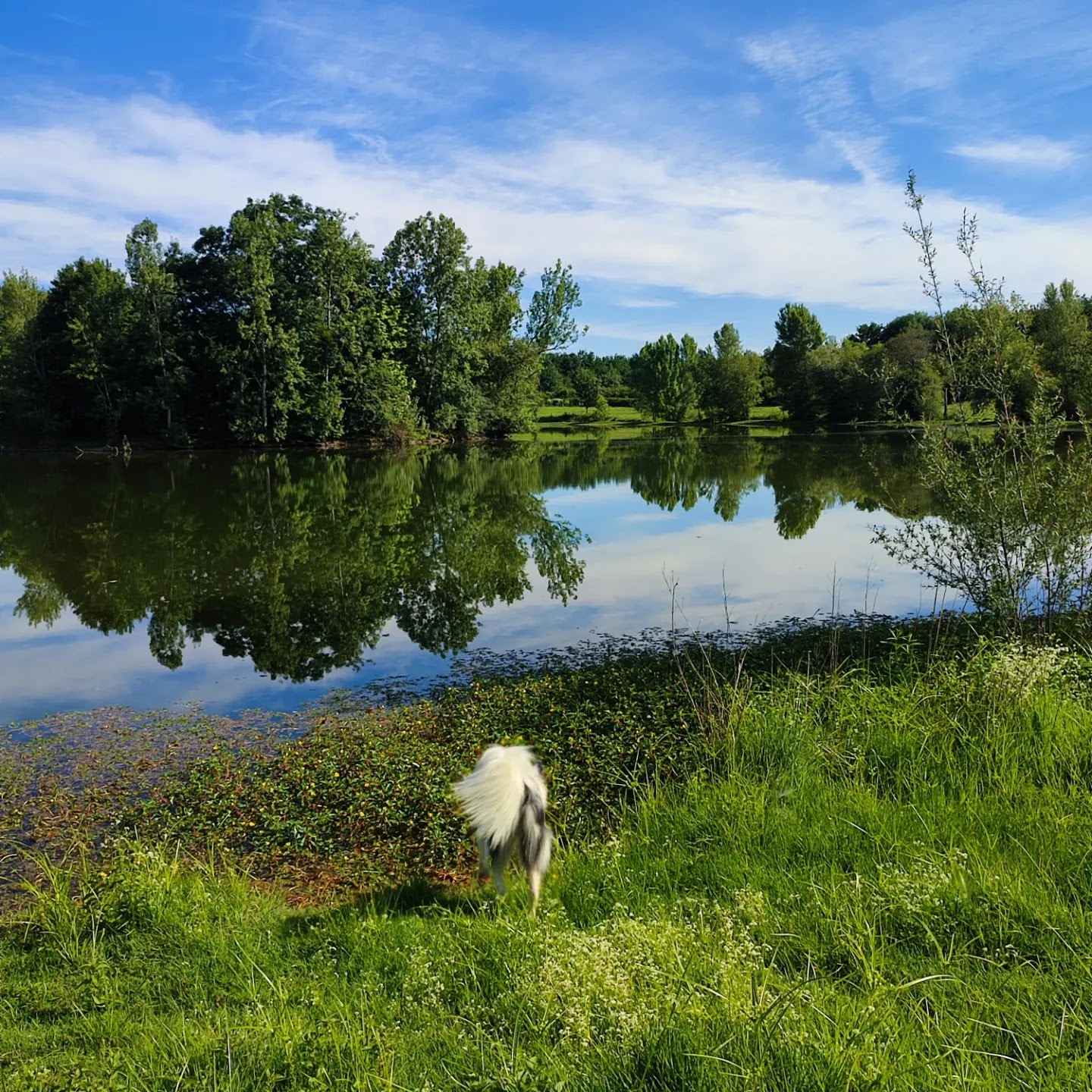 Photo n° 5 de l'avis de lily.i fait le 30/05/2022 à 16:04