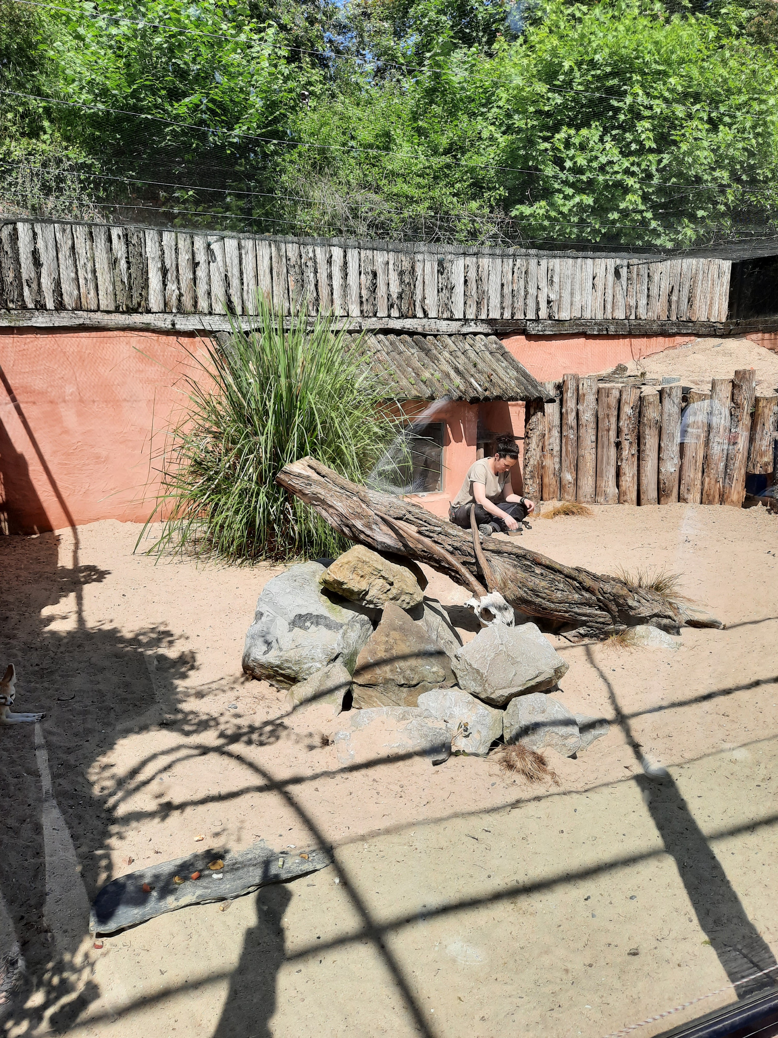 Photo n° 9 de l'avis de Gilda.i fait le 04/06/2023 à 15:22