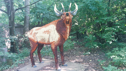 Zoo «Tropic World», reviews and photos, 3300 Golf Rd, Brookfield, IL 60513, USA