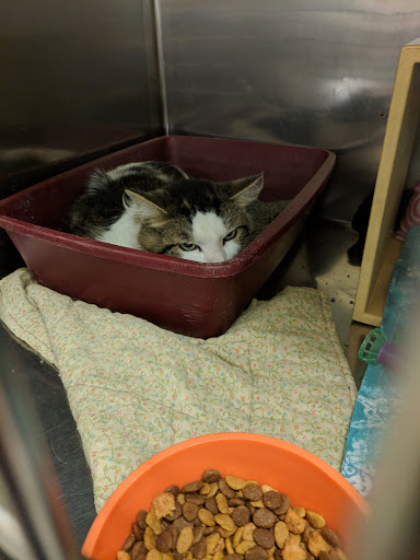 Pet Supply Store «PetSmart», reviews and photos, 111 Nassau Park Blvd, Princeton, NJ 08540, USA