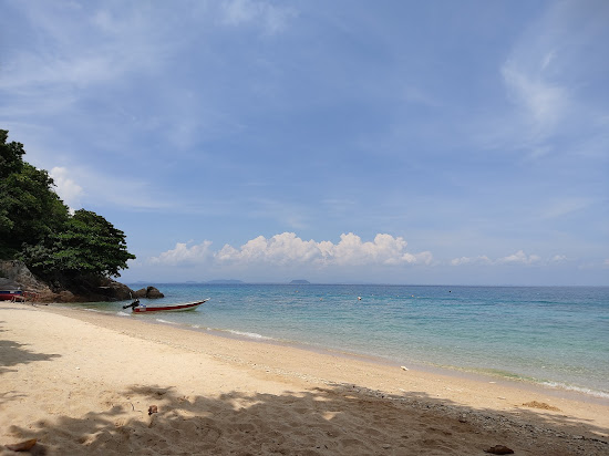 Rainforest Beach