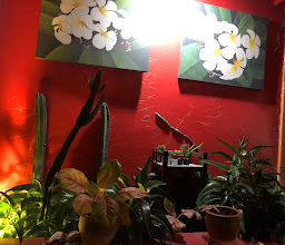 The Mexican Grill photo