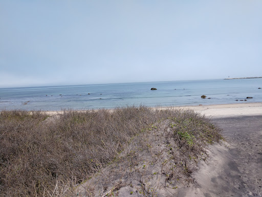 Grocery Store «Block Island Grocery», reviews and photos, 242 Ocean Ave, New Shoreham, RI 02807, USA