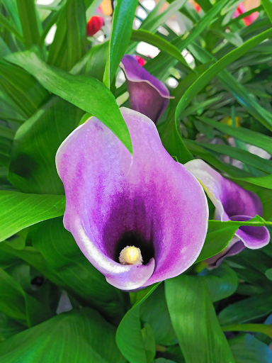 Pet Supply Store «CountryMax - Geneseo», reviews and photos, 4101 Lakeville Rd, Geneseo, NY 14454, USA