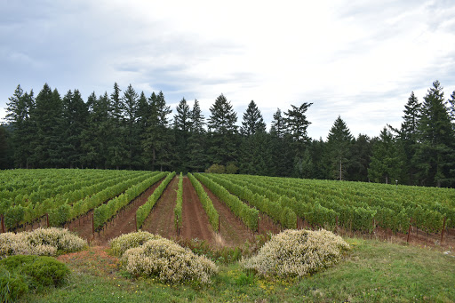 Winery «JK Carriere», reviews and photos, 9995 NE Parrett Mountain Rd, Newberg, OR 97132, USA