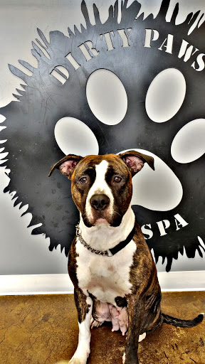 Pet Groomer «Dirty Paws Dog Spa», reviews and photos, 113 Mayo Rd, Edgewater, MD 21037, USA