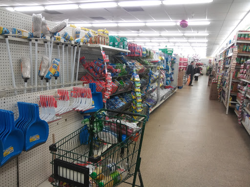 Dollar Store «Dollar Tree», reviews and photos, 555 El Camino Real, South San Francisco, CA 94080, USA
