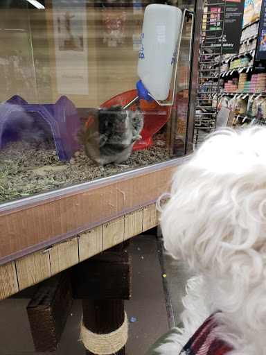 Pet Supply Store «Petco Animal Supplies», reviews and photos, 9111 Metropolitan Ave, Rego Park, NY 11374, USA