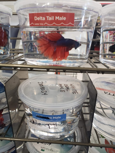 Pet Supply Store «Petco Animal Supplies», reviews and photos, 3444 S Mooney Blvd, Visalia, CA 93277, USA