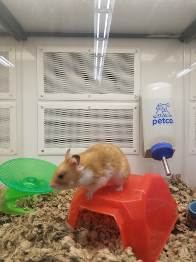 Pet Supply Store «Petco Animal Supplies», reviews and photos, 1141 Wantagh Ave, Wantagh, NY 11793, USA
