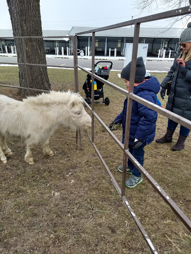 Park «St Clair Shores Park», reviews and photos, 20000 Stephens, St Clair Shores, MI 48080, USA