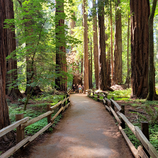 Lugares para acampar en San Francisco