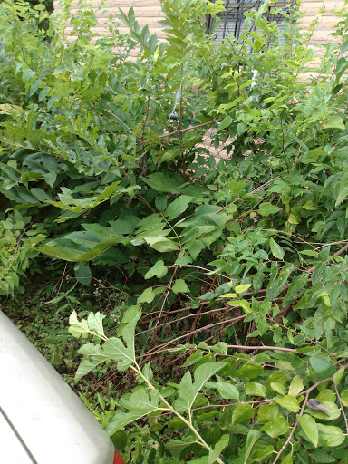 Park «Vidaurri Park», reviews and photos, 1201 Merida St, San Antonio, TX 78207, USA