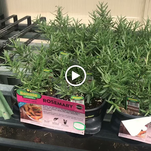 Hardware Store «New Palestine Hardware», reviews and photos, 50 W Main St, New Palestine, IN 46163, USA