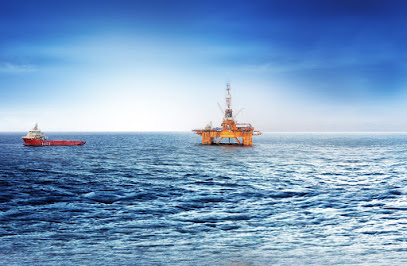 Oil and gas exploration service