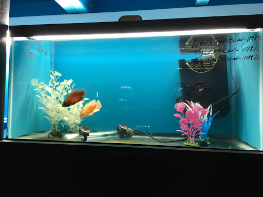 Pet Store «AquaVarium Pets And Supplies», reviews and photos, 95 W Bridge St, Catskill, NY 12414, USA