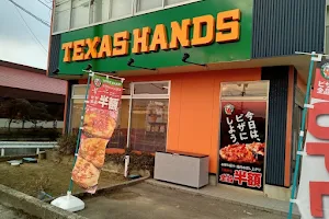 Texas Hands Himi image