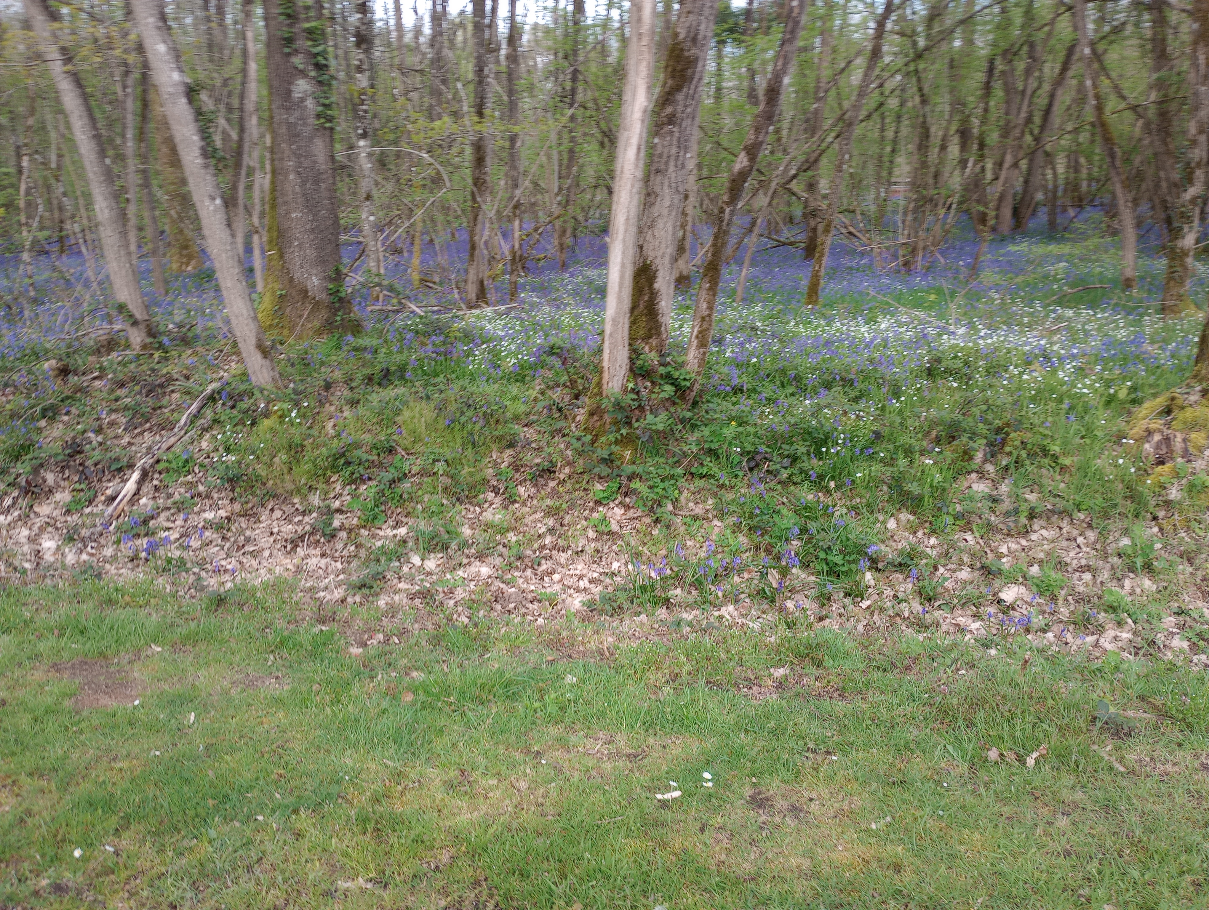 Photo n° 6 de l'avis de Franck.i fait le 24/04/2023 à 14:31