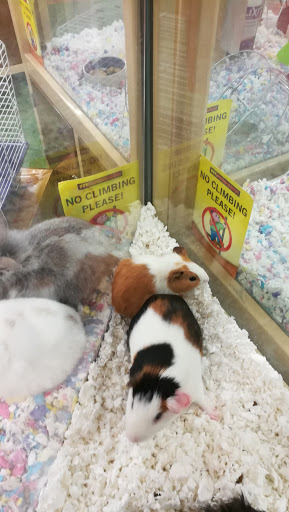Pet Supply Store «Pet Supermarket», reviews and photos, 800 Sebring Square.., Sebring, FL 33870, USA