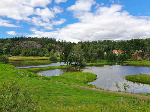 The Flemingsberg Forest Nature Reserve