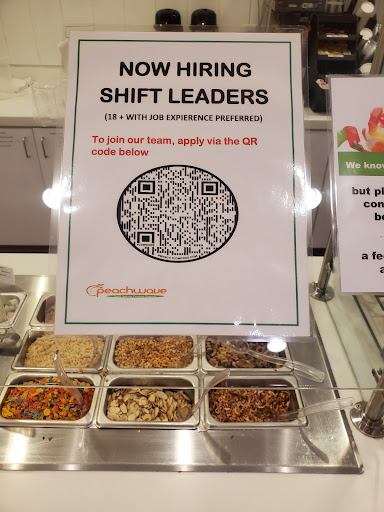 Frozen Yogurt Shop «Peachwave Frozen Yogurt & Gelato», reviews and photos, 6 W 8th St, Holland, MI 49423, USA