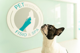 Pet Restelo Fisio & Spa