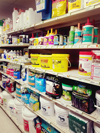 Pet Supply Store «Pet Club Mesa», reviews and photos, 55 S Country Club Dr, Mesa, AZ 85210, USA