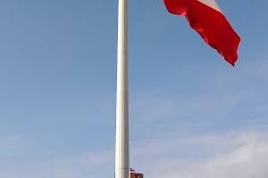 Bandera Bicentenario image
