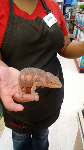 Pet Supply Store «Petco Animal Supplies», reviews and photos, 551 W Hampden Ave, Englewood, CO 80110, USA