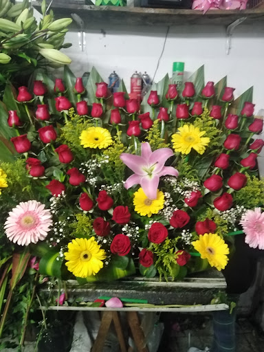 Floreria Amapola – Ciudad Nicolás Romero