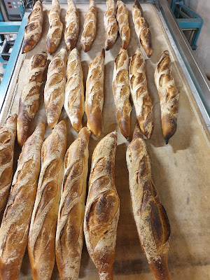 Boulangerie Larzillière à Fourmies