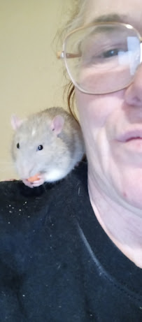 Southeast Reptile Exchange Inc. - Photo 2 - Car repair in Tampa, FL, Tampa