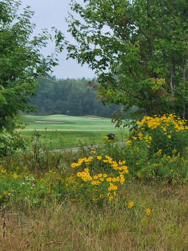 Golf Course «Wild Bluff Golf Course», reviews and photos, 11335 W Lakeshore Dr, Brimley, MI 49715, USA