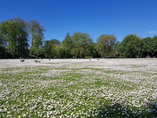 Rowntree Park