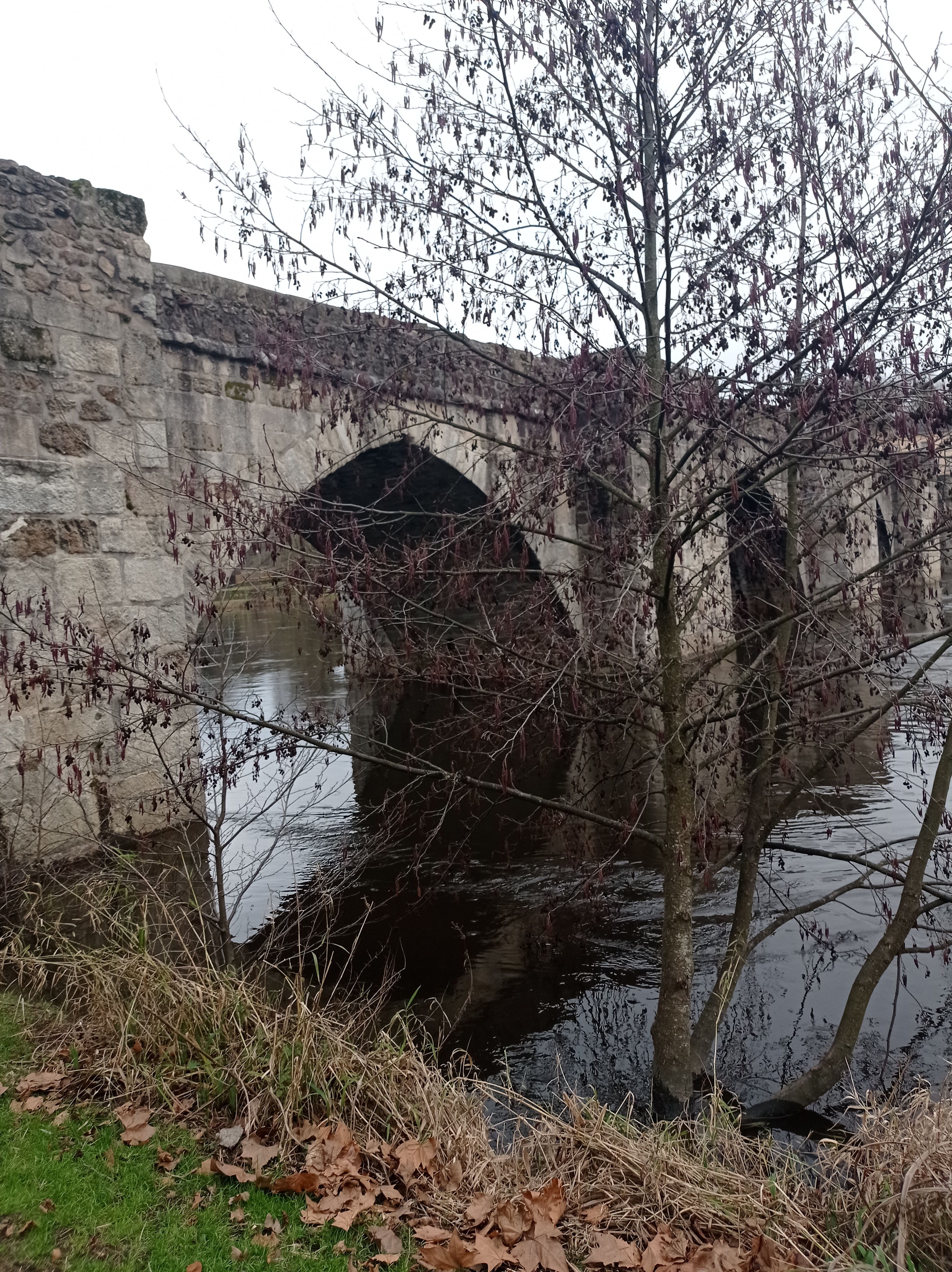 Photo n° 3 de l'avis de Valérie.e fait le 26/01/2021 à 15:08