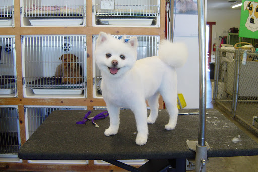 Pet Groomer «My Pal Pet Supplies & Grooming», reviews and photos, 817 W Napa St, Sonoma, CA 95476, USA