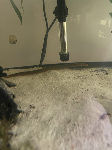 Pet Store «WorldWide Fish & Pets», reviews and photos, 61 Amity Rd, New Haven, CT 06515, USA