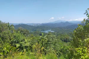 Bukit Pau Peak image