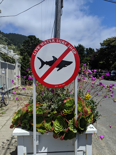 Surf Shop «Live Water Surf Shop», reviews and photos, 3448 Shoreline Hwy, Stinson Beach, CA 94970, USA