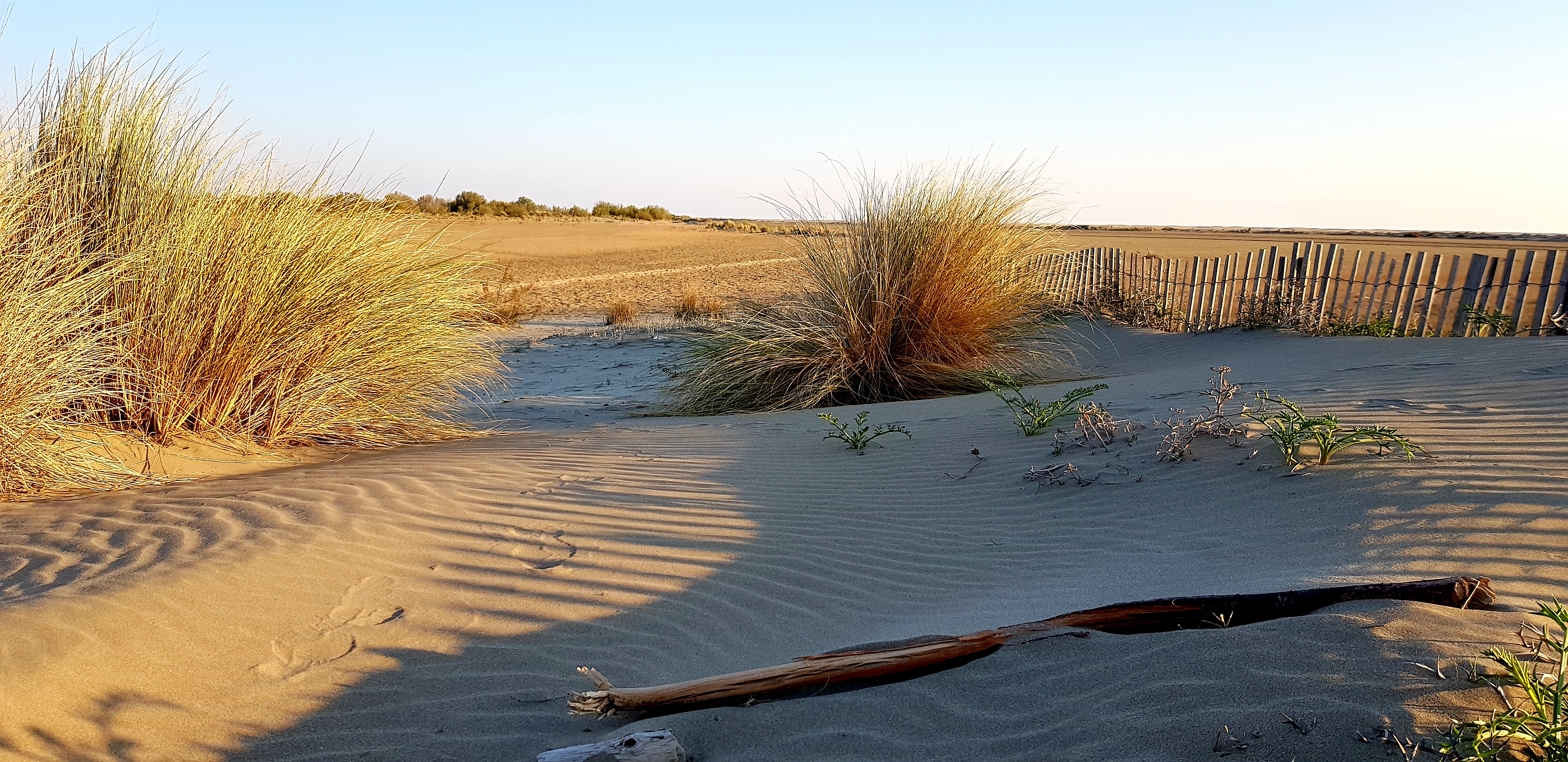 Photo n° 13 de l'avis de Le.o fait le 14/04/2019 à 21:02