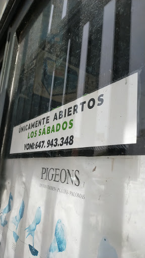 Natural Aguere - San Cristóbal de La Laguna