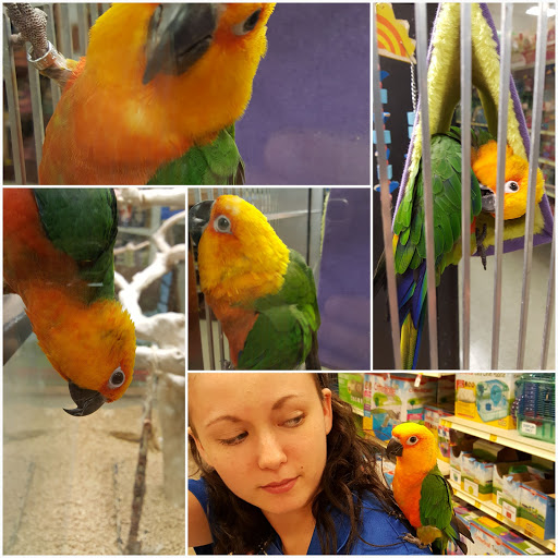 Pet Supply Store «PetSmart», reviews and photos, 1183 Berkshire Blvd, Wyomissing, PA 19610, USA