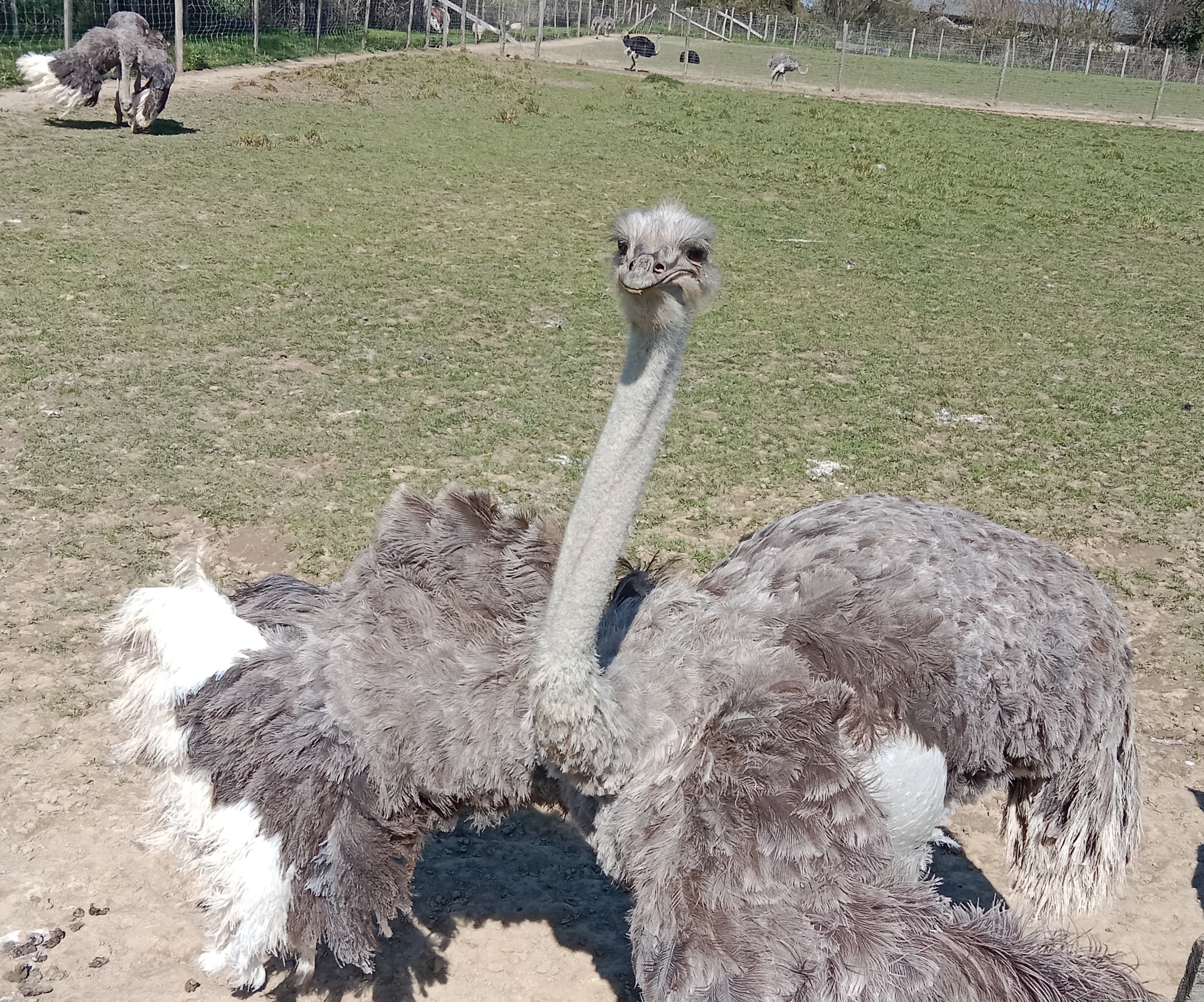 Photo n° 2 de l'avis de gil.o fait le 09/04/2023 à 08:07